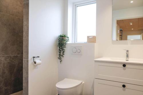 Koupelna v ubytování 14232-Grevinge-Digevej-3