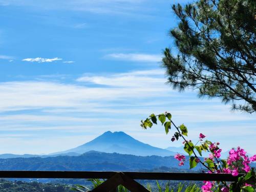 una montaña en la distancia con flores en el primer plano en Cabañas La Puerta Del Angel, 