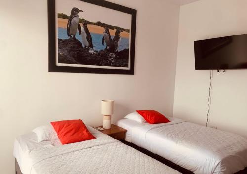 a bedroom with two beds and a picture of penguins at Bluefootedboobies in Puerto Villamil