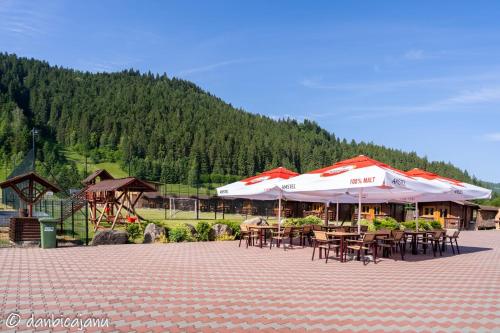 Foto dalla galleria di Pensiunea Malvimend a Tulgheş