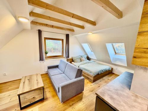 贝拉波德普拉德代姆Mezi vršky - rodinný apartmán Filipovice的带沙发和床的客厅