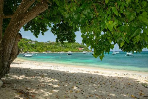 Nautilus-Beach Front Family Friendly Prime Locale
