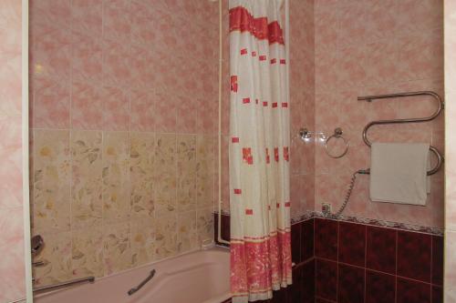 een badkamer met een douchegordijn en een bad bij Sadovaya Historical apartment in Odessa