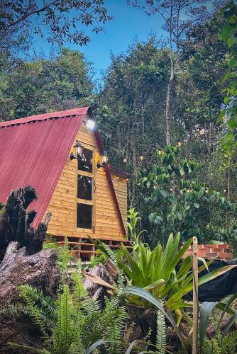 a small wooden cabin with a red roof at Almonte Glamping in Guarne