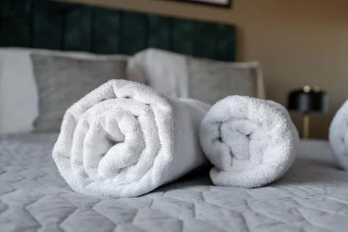 Richmond Row Apartments - Free On-Site Parking, WiFi & EV photo 100