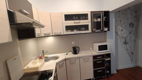 Cuina o zona de cuina de Sea&Lake Apartment View