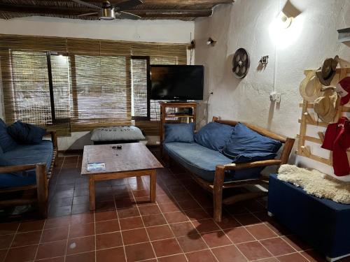 a living room with blue couches and a tv at Finca Basin in Barreal