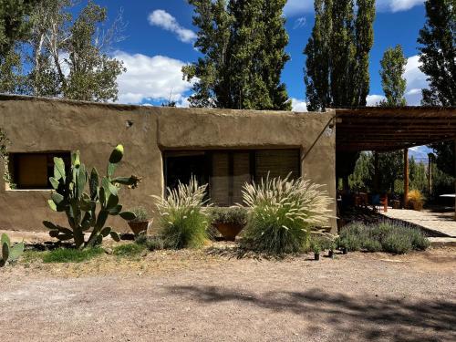a building with a cactus in front of it at Finca Basin in Barreal