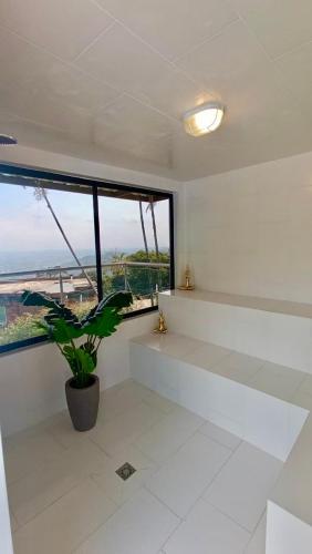 a white room with a potted plant in front of a window at Cristo Rey Hostal Campestre Cali in Cali