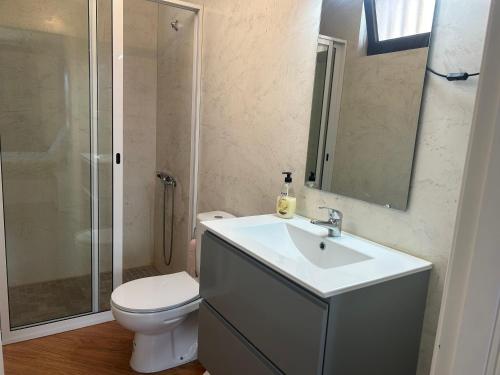 ミンデロにあるChez Etelの洗面台、トイレ、シャワー付きのバスルーム