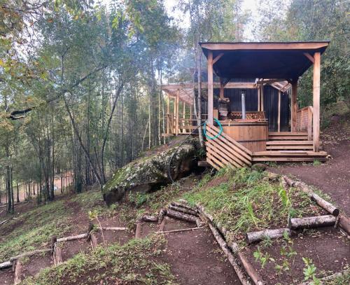 Vườn quanh Cabañas con tinajas Mahuidas Panguipulli