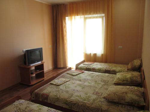 ヴィチャゼヴォにあるU Vladimira Guest Houseのベッド2台とテレビが備わるホテルルームです。
