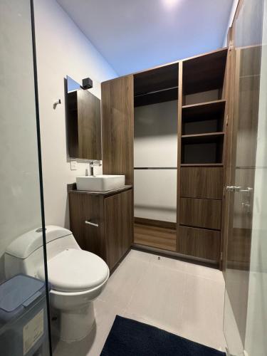 グアダラハラにあるFurnished loft in Ciudad Granja with balconyのトイレと洗面台のある小さなバスルーム