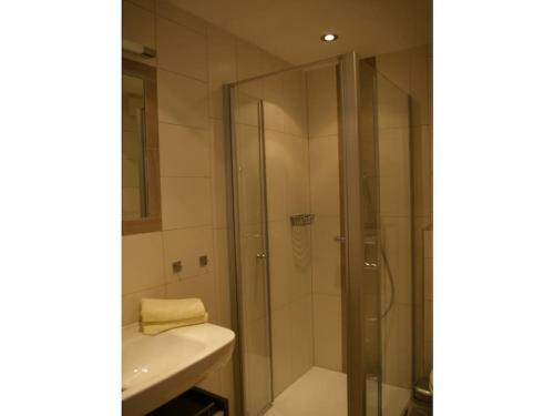 a bathroom with a shower and a toilet and a sink at 4 Michael Weiß Comfortable holiday residence in Reinhartsmais