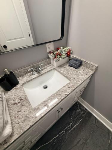 eine Badezimmerablage mit Waschbecken und Spiegel in der Unterkunft Bluehouse in East Chicago