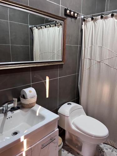 a bathroom with a toilet and a sink and a mirror at Hacienda Ranguil in Lolol
