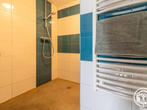 VihiersGîte moderne avec piscine en Anjou, proche Saumur et Cholet, idéal pour familles et groupes - FR-1-622-30的浴室铺有蓝色和白色瓷砖,设有淋浴。