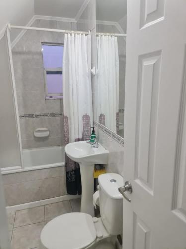 a white bathroom with a toilet and a sink at Reina Sofia II in Valdivia