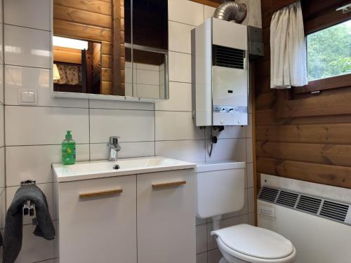 a small bathroom with a toilet and a sink at Gemütliches Blockhaus in Eschede bei Lüneburg in Eschede