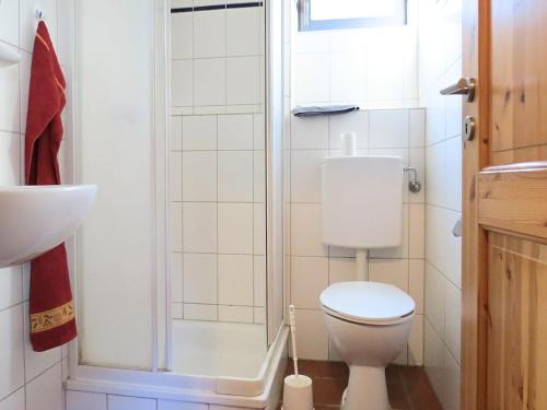 a small bathroom with a toilet and a shower at Wohnung mit Terrasse in Hüddingen in Gellershausen