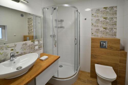 a bathroom with a shower and a sink and a toilet at Holiday Home near Ko obrzeg with Private Pond in Nieżyn