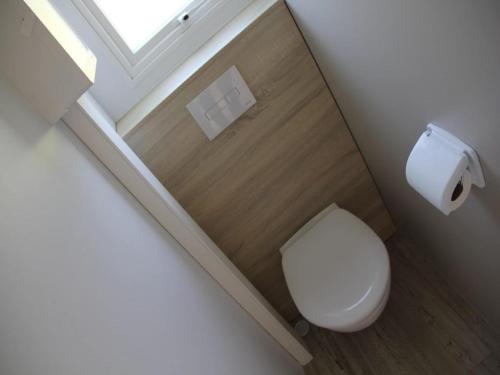 Un baño con inodoro y un rollo de papel higiénico. en Chalet in Nature, Friesland, en De Veenhoop