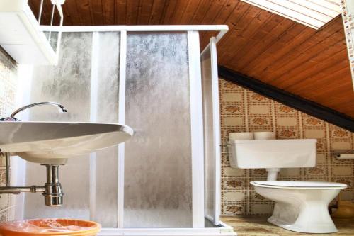 łazienka z umywalką i toaletą w obiekcie Farmhouse near Afritzer See & Nockberge Trails w mieście Innere Einöde