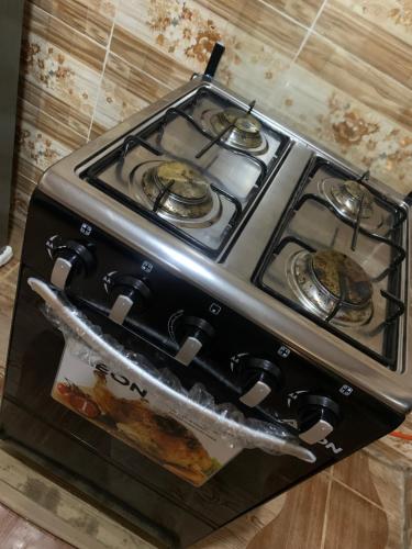 Kuchyň nebo kuchyňský kout v ubytování Royal palm Ijapo