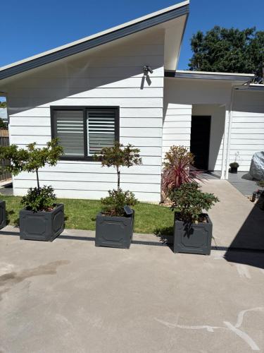 three potted plants in front of a house at Katzy's Kottage in Bowral