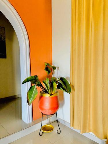 Fotografie z fotogalerie ubytování Mcari Suite v destinaci Tema