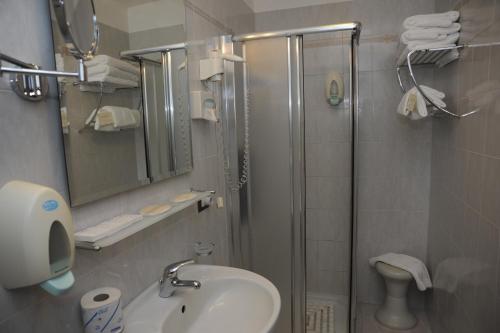 a bathroom with a shower and a sink and a toilet at Hotel Barsalini in SantʼAndrea