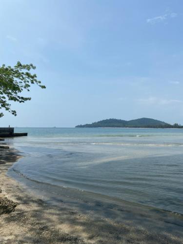 Phong cảnh thiên nhiên gần nhà gỗ