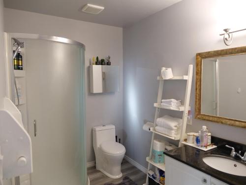 Et badeværelse på Cozy Loft in Kingston