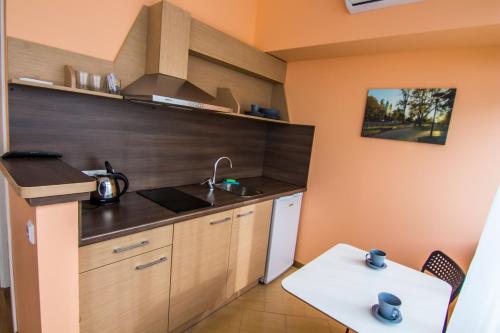 扎拉賽的住宿－Pas Olia，一个带水槽和桌子的小厨房