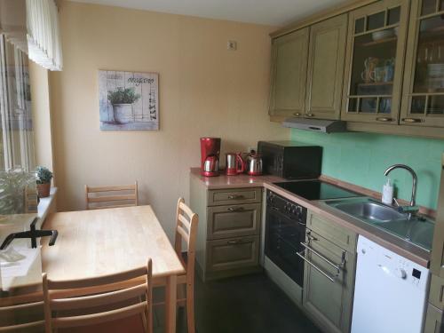 een keuken met een spoelbak en een fornuis bovenste oven bij Ferienhaus Enger in Beulwitz