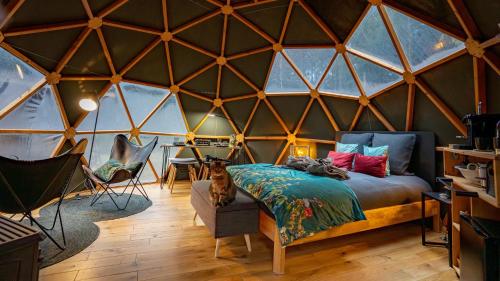 Posezení v ubytování Gite à la ferme aux Alpagas