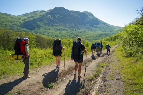 Φυσικό τοπίο κοντά σε αυτό το hostel