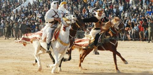 Zvířata v apartmánu nebo okolí