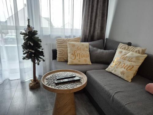 Apartament Pudrowy