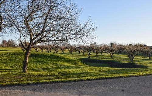 a field of green grass with trees and a road at Cozy Home In Simrishamn With Wifi in Simrishamn