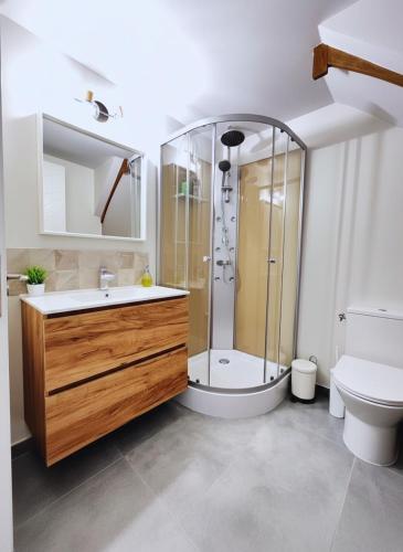 a bathroom with a shower and a sink and a toilet at Logis du Mousquetaire -15min du Parc - by R&G in La Pommeraie-sur-Sèvre