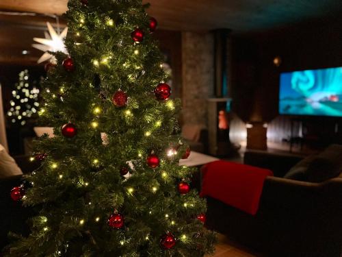 TV a/nebo společenská místnost v ubytování Christmas-decorated mountain cabin - panoramic view!