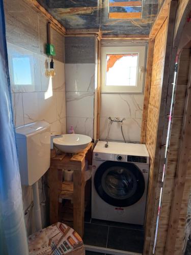 un piccolo bagno con lavatrice e lavandino di Moderne 1-Zimmer-Ferienwohnung a Niederdorla