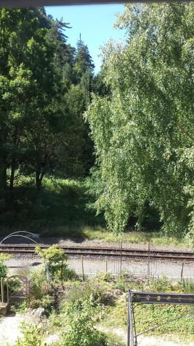 a group of trees and train tracks in a field at Holzwerk Oybin in Kurort Oybin