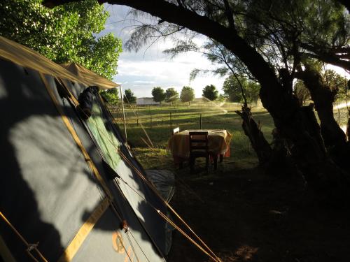 Gallery image of Karoo Gariep Tented Camp in Hanover Road