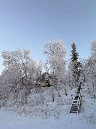 Napakettu Holiday Village om vinteren