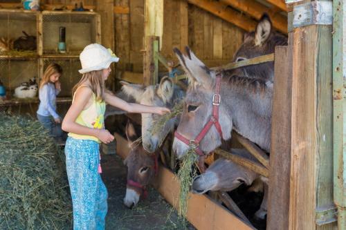 Επισκέπτες που μένουν στο Cabane Du Renard