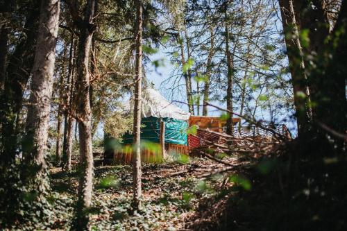 Fotografie z fotogalerie ubytování Yourte Dans La Forêt v destinaci Lalley