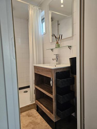 a bathroom with a sink and a mirror at Chalet 138 lodge in Sint Annaland
