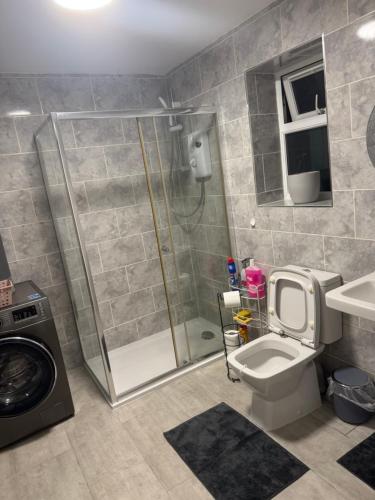 a bathroom with a shower and a toilet and a sink at Dream Flat in Bristol